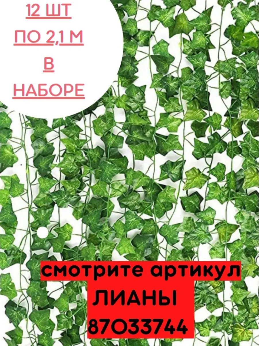 Лианы для сада: обзор наиболее неприхотливых сортов вьющихся