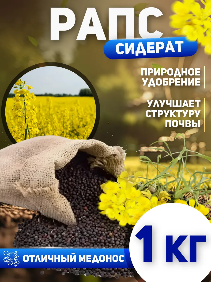 Рапс сидерат семена 1 кг