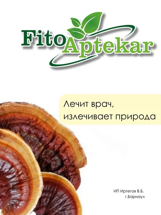 ФИТО-АПТЕКАРЬ Гриб рейши слайсами, 150 г, 150 г, фото 6