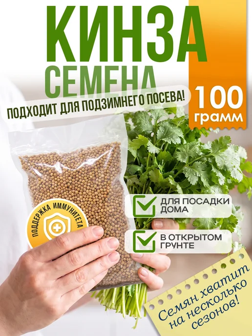 Никольский Дачник Семена кинзы (кориандра) 100 г для посева осенью и весной, 100 г