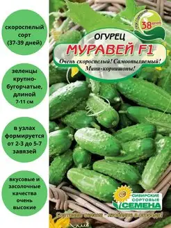 .Огурец Муравей Сибирские сортовые семена 83352754 купить за 97 ₽ в интернет-магазине Wildberries