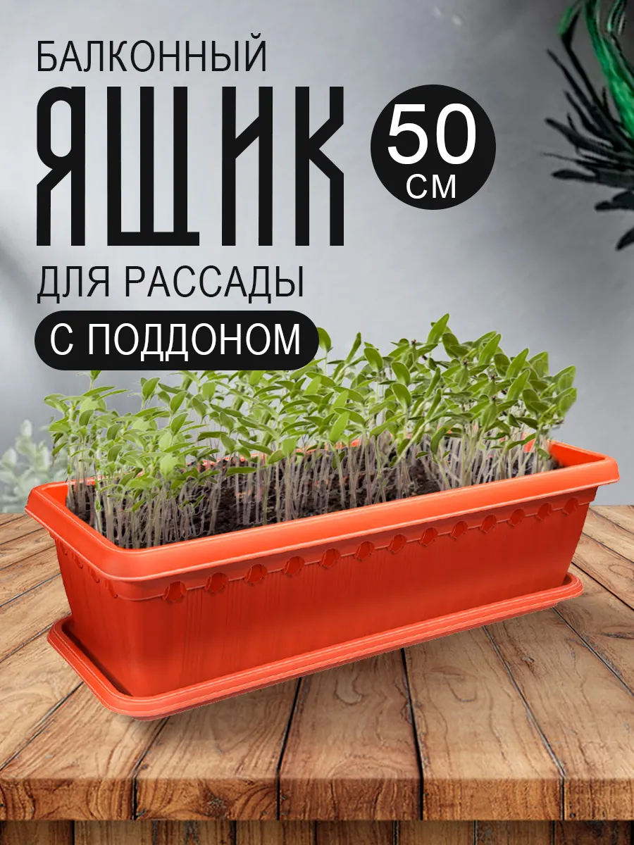 Балконный ящик для рассады и цветов с поддоном L 50 см