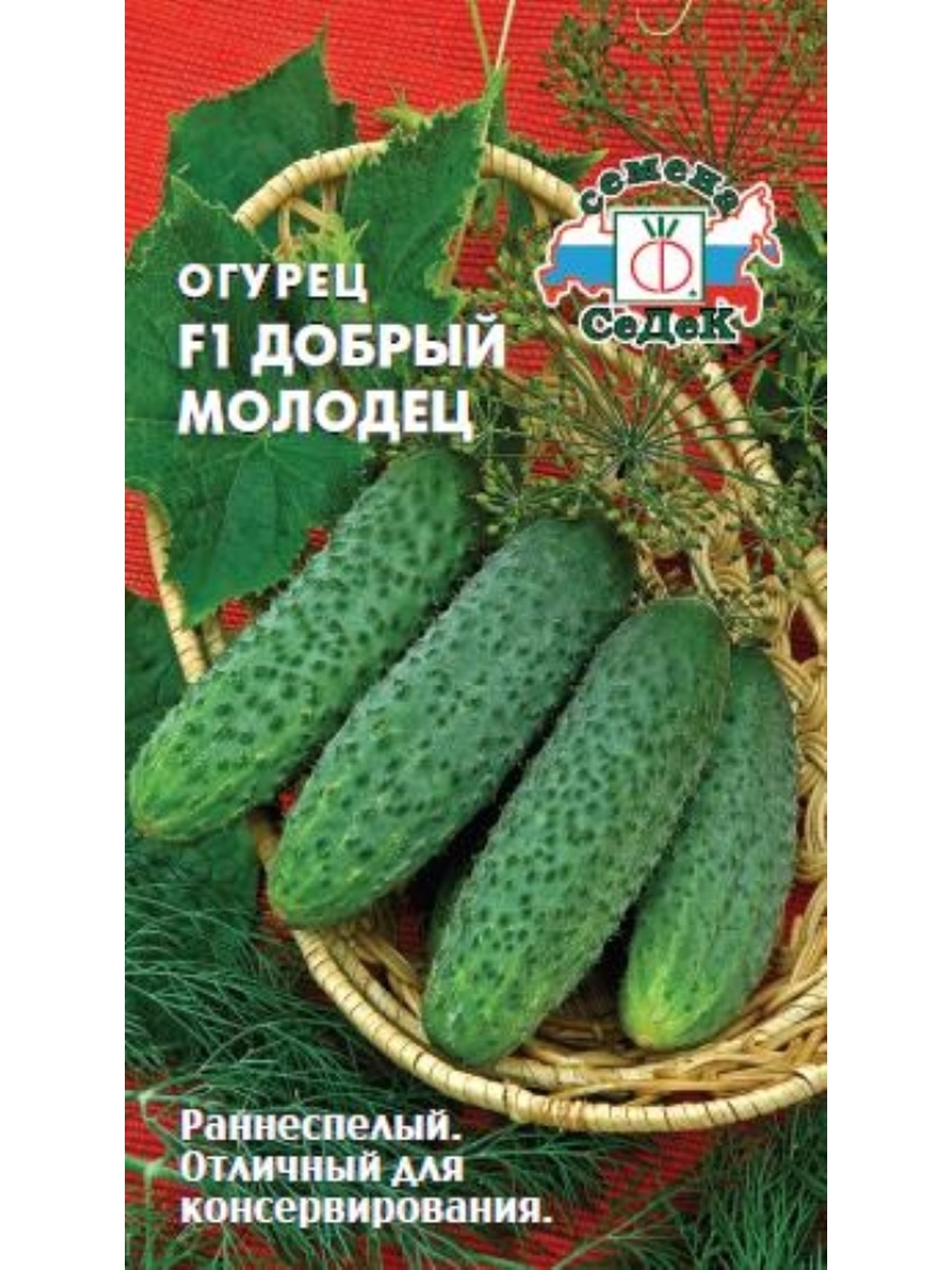 Огурцы добрый кола. Огурец Шанхайский молодец.