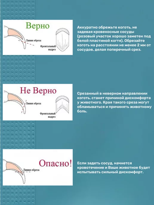 KinMart-Z Когтерез для собак и кошек универсальный инструмент, черный, фото 5