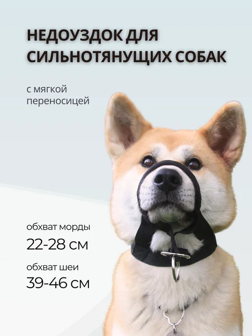 Rafa Petshop Недоуздок (халти) для средней собаки, черный