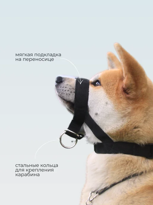 Rafa Petshop Недоуздок (халти) для средней собаки, черный, фото 2