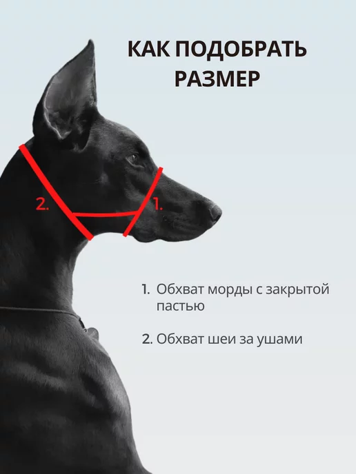 Rafa Petshop Недоуздок (халти) для средней собаки, черный, фото 4