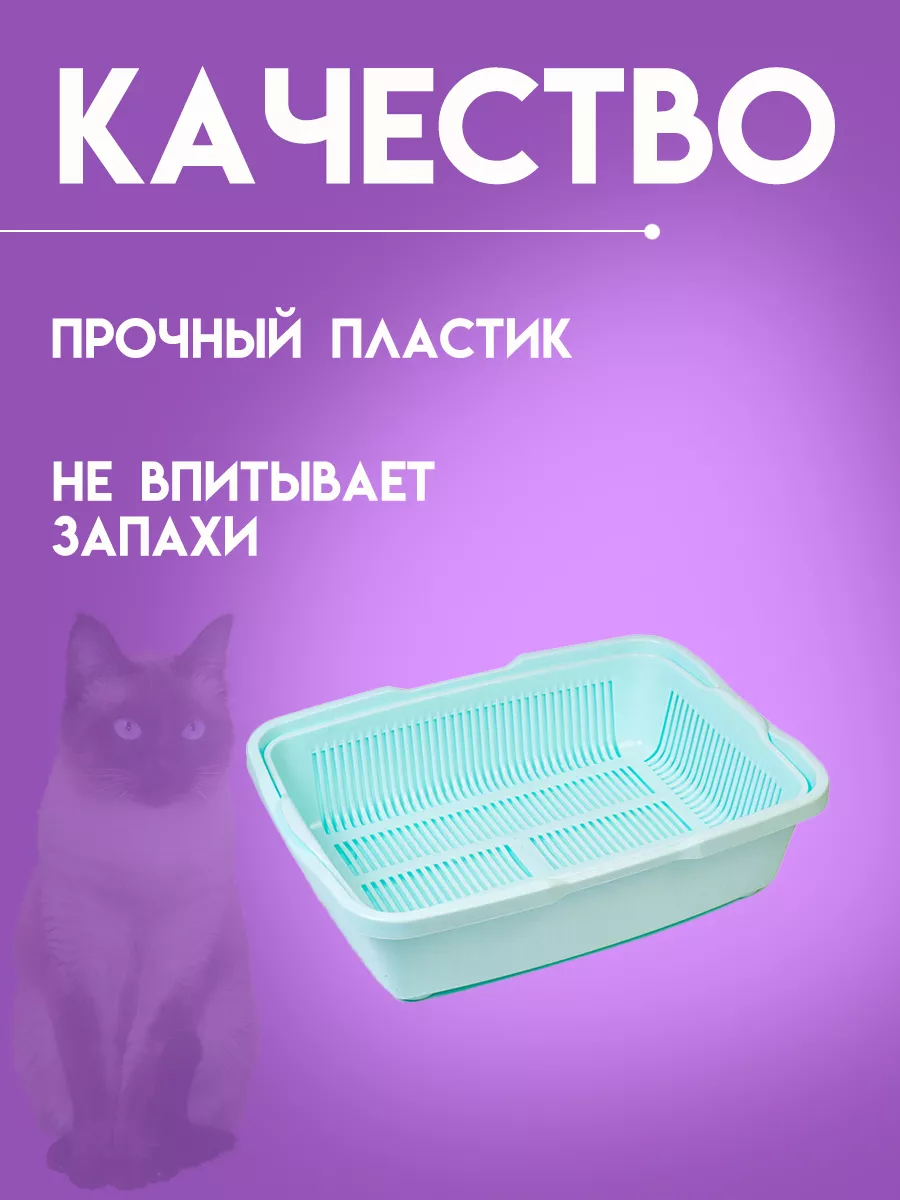 «Приятно пахнет соснами и елками»: 5 советов, как организовать туалет для кошек