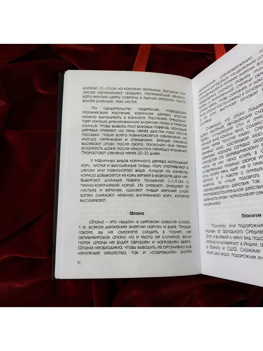 Словарь для секса: эти 35 фраз сведут его с ума (он точно хочет их услышать от тебя)