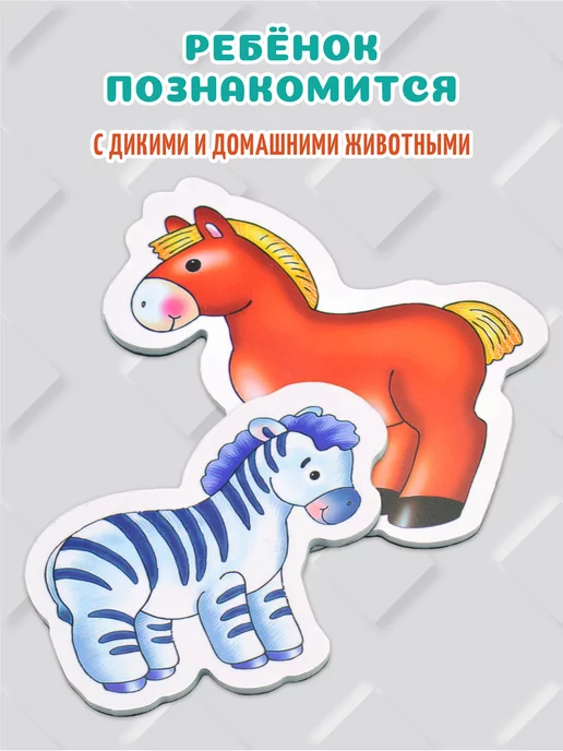 Дрофа-Медиа Игрушка магниты для развития ребенка, вариант, фото 4