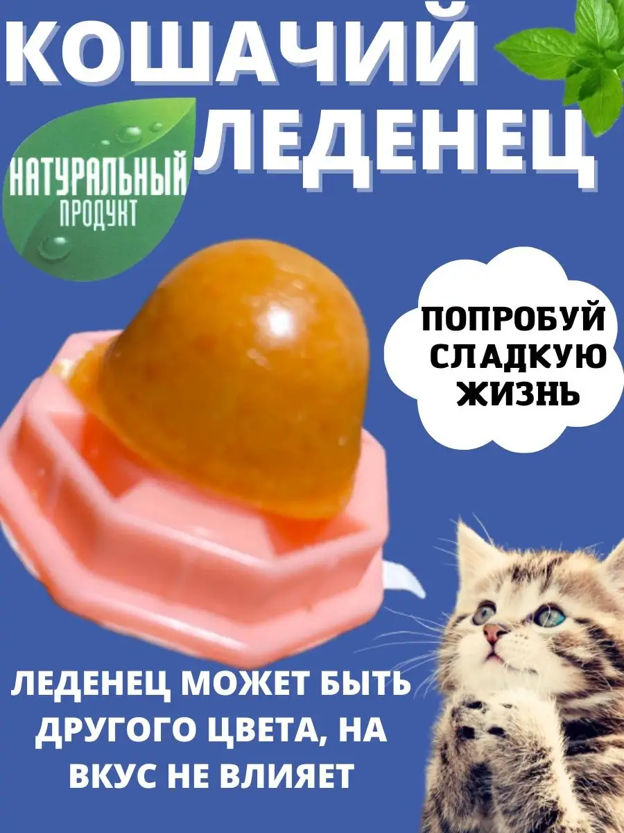 Леденец с кошачьей мятой