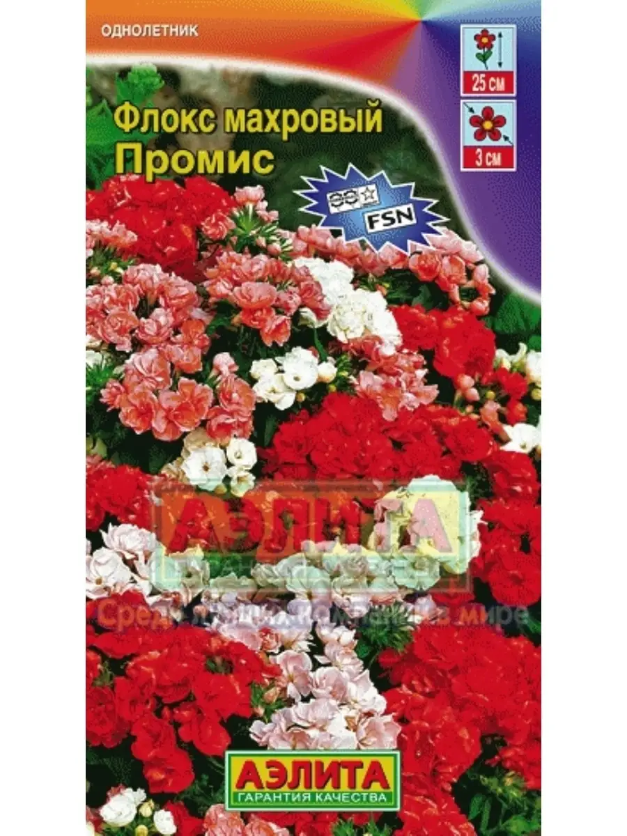 Флоксы Однолетние Купить Семена