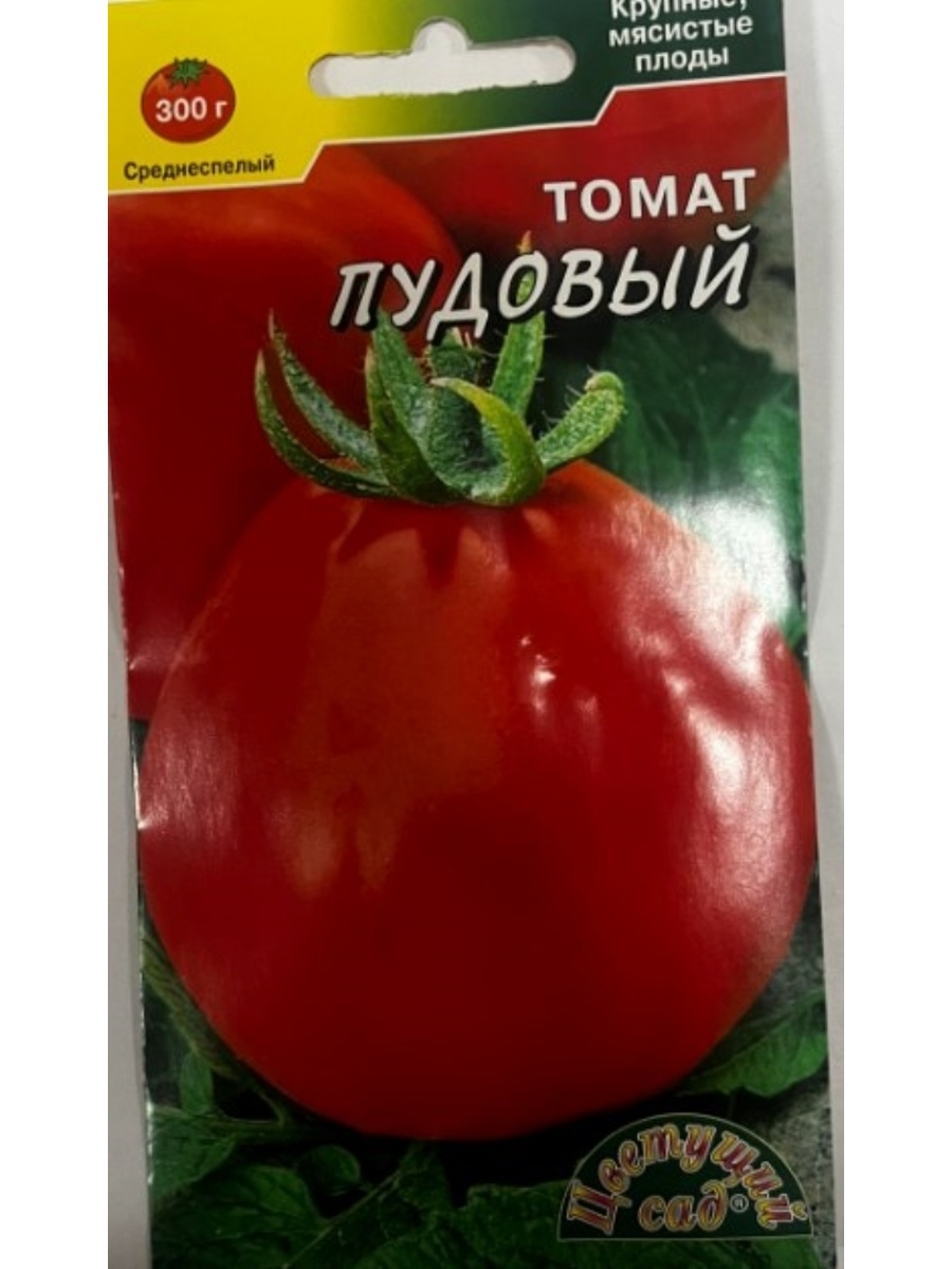 Томат стопудовый. Семена томатов пачка. Семена помидоров упаковка. Томат растение листья. Томат Ажур.