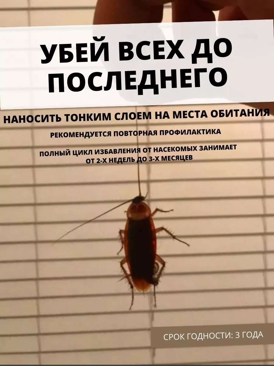 Цянь во дуань средство от тараканов китайское порошок 84281230 купить в  интернет-магазине Wildberries