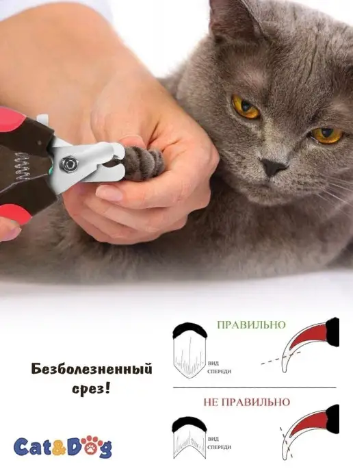 Сat&Dog Когтерезка для кошек, когтерез для собак, серый, фото 6