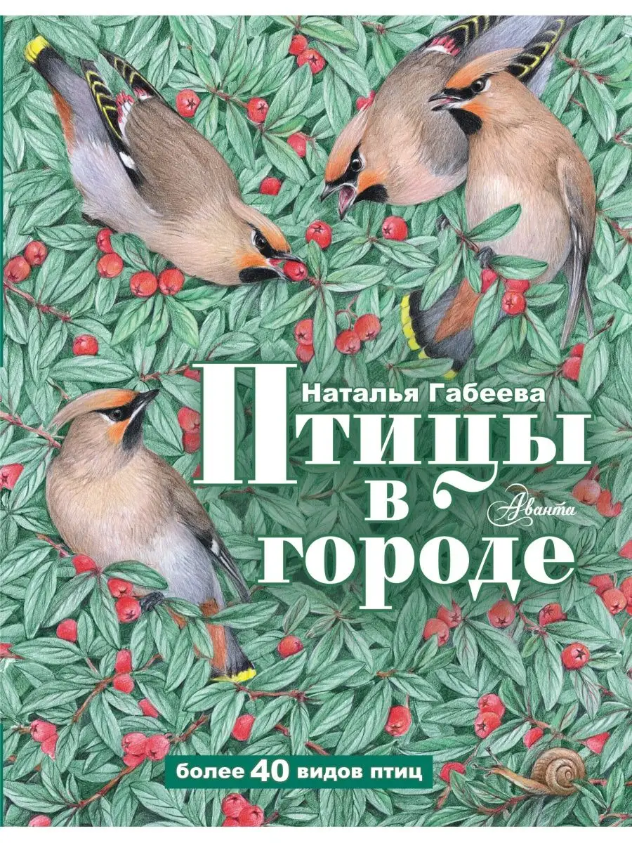 Птицы в городе Издательство АСТ 84324675 купить за 591 ₽ в  интернет-магазине Wildberries