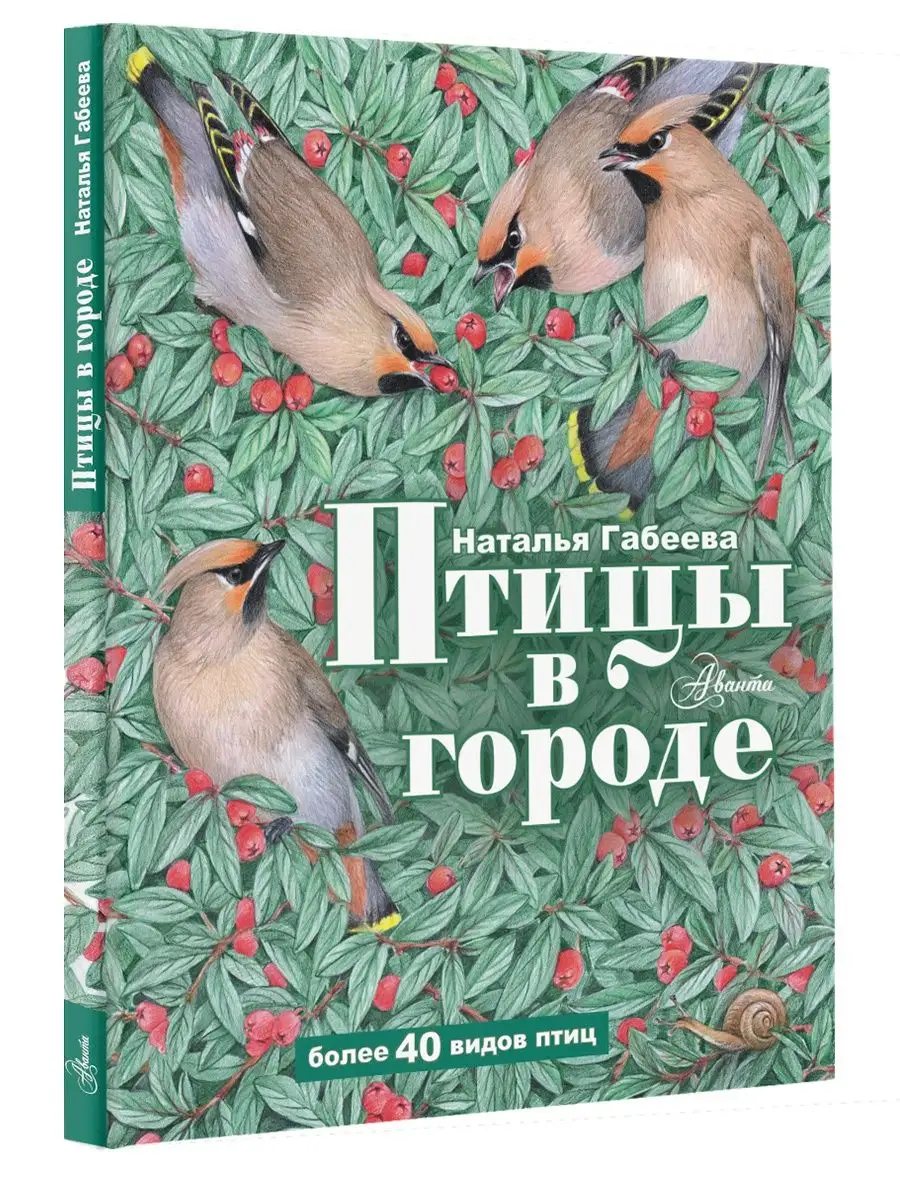 Птицы в городе Издательство АСТ 84324675 купить за 591 ₽ в  интернет-магазине Wildberries