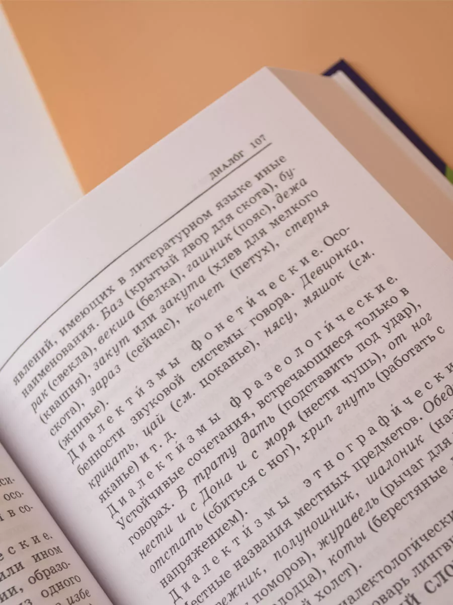 Розенталь Справочник по русскому языку Издательство Мир и Образование  84352077 купить за 726 ₽ в интернет-магазине Wildberries