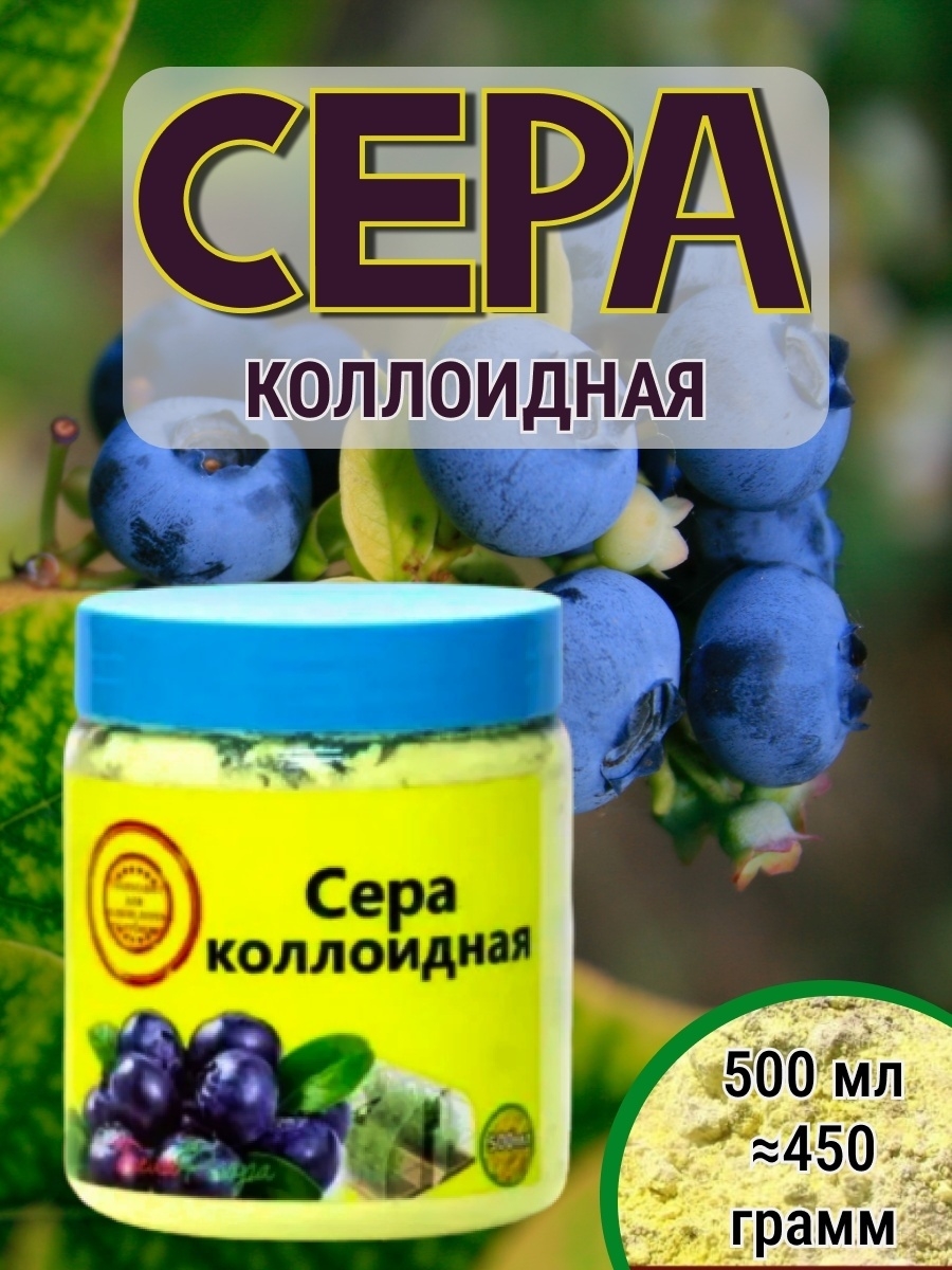 Подкормка голубики серой коллоидной. Сера коллоидная Белафлора. Сера для голубики. Коллоидная сера для голубики. Сера гранулированная.