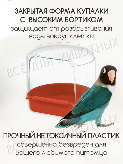 Triol Ванночка для попугая Купалка для птиц кормушка, вариант, фото 2