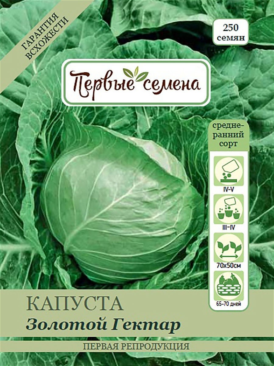 Сорт золотой гектар. Капуста белокочанная золотой гектар 1432. Капуста б/к золотой гектар 1432. Капуста Грин бой f1 (Саката) б/к "Агроэлита". Капуста белокочанная золотой гектар 1432 Уральский Дачник.