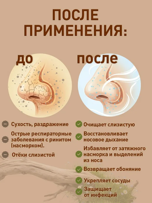 АЛТЫН СОЛОК Натуральный спрей для носа от насморка и заложенности, вариант, фото 6