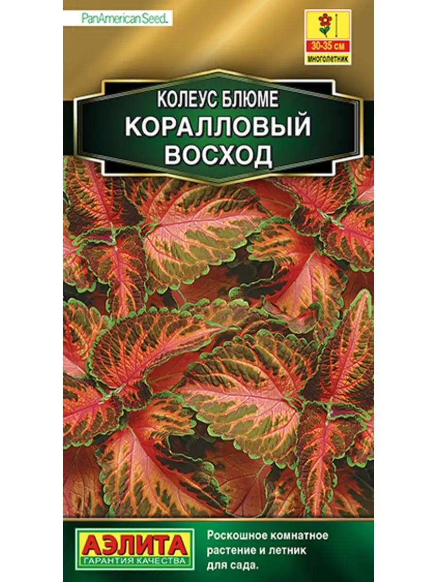 КОЛЕУС Коралловый восход 10 шт. семян ДАЧА ОНЛАЙН 84759909 купить за 120 ₽  в интернет-магазине Wildberries