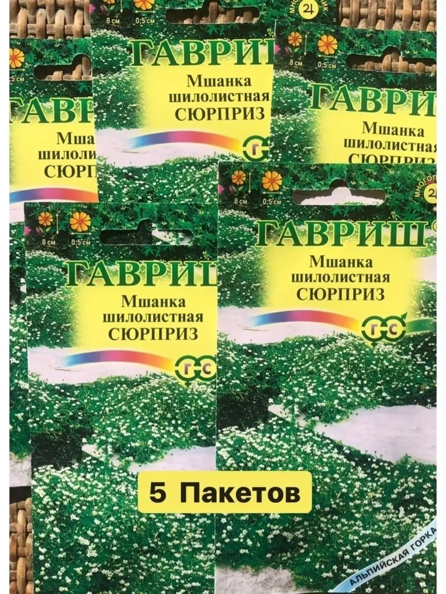 Семена цветов МШАНКА ШИЛОЛИСТНАЯ СЮРПРИЗ, 5 пакетов ДАЧА ОНЛАЙН 84856479  купить за 518 ₽ в интернет-магазине Wildberries