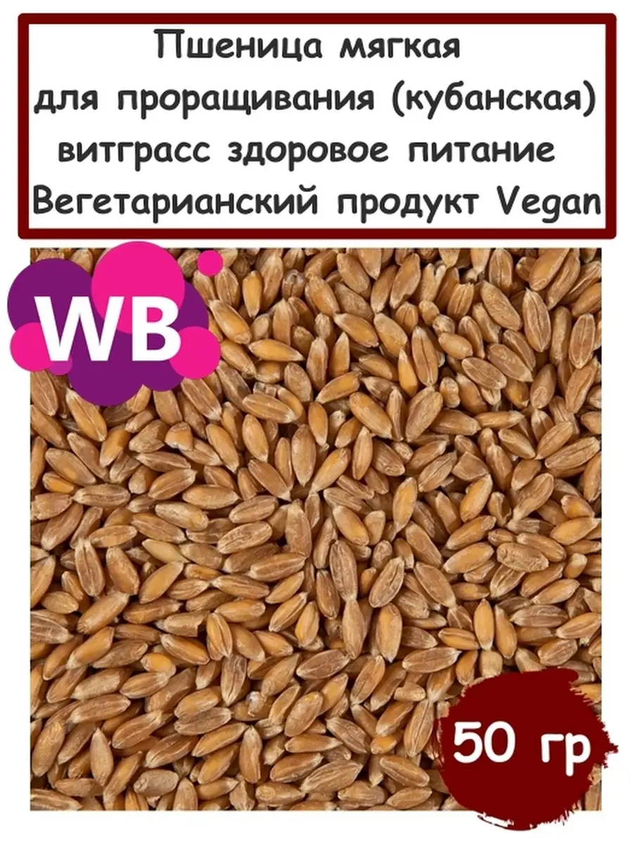 Пшеница для проращивания (кубанская)