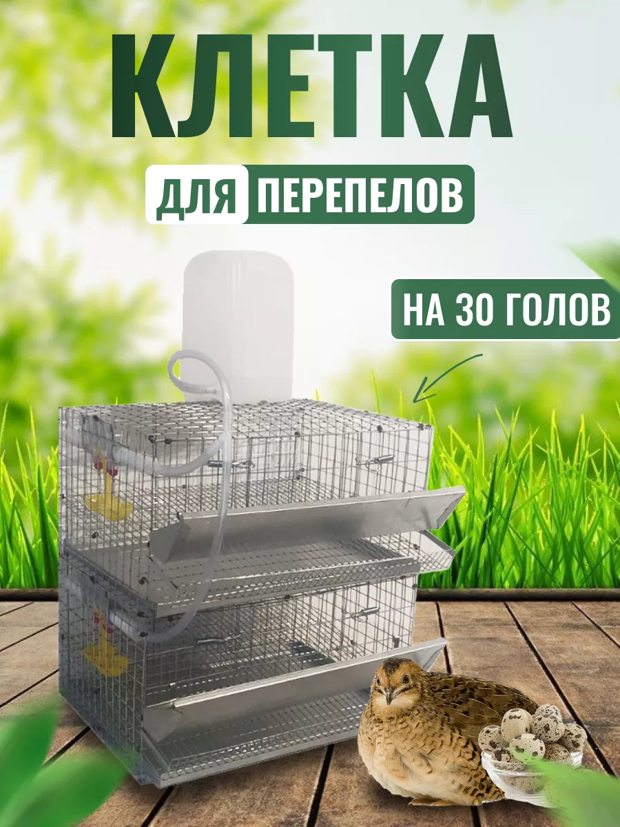 Клетка для перепелов (стойка) на 150 голов по 30 в каждом ярусе (КП-150-5я)