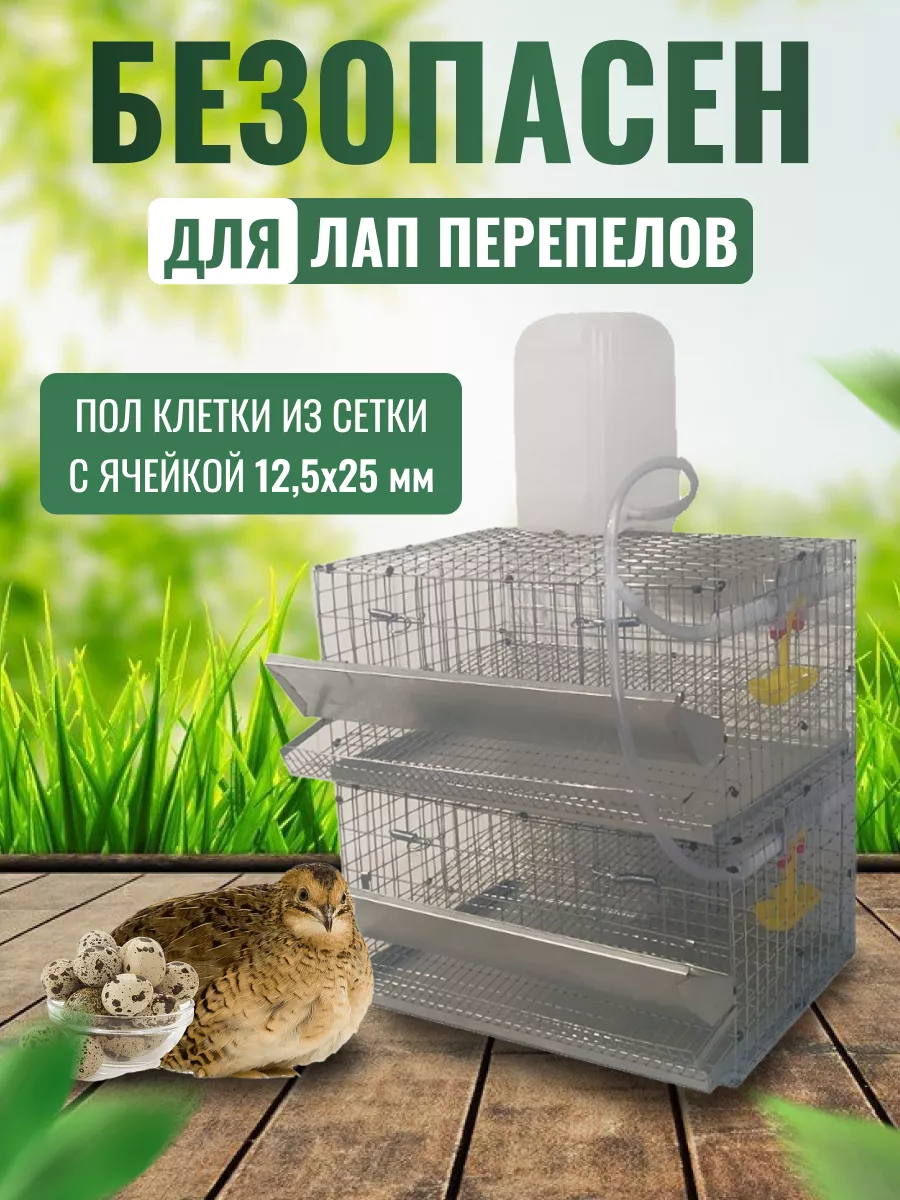 Клетка для перепелов 