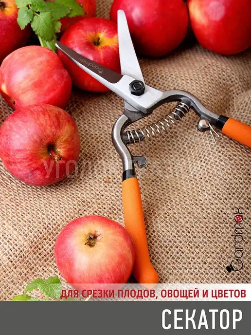 Garden Show Секатор садовый ручной для цветов и деревьев, серый, фото 4