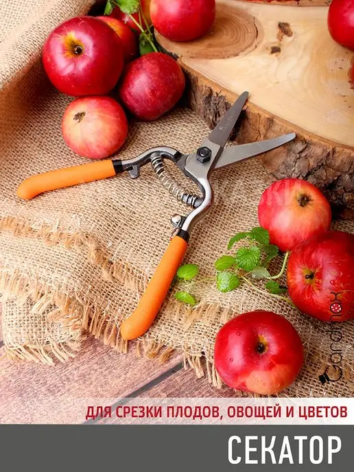 Garden Show Секатор садовый ручной для цветов и деревьев, серый, фото 5