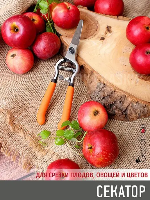 Garden Show Секатор садовый ручной для цветов и деревьев, серый, фото 6