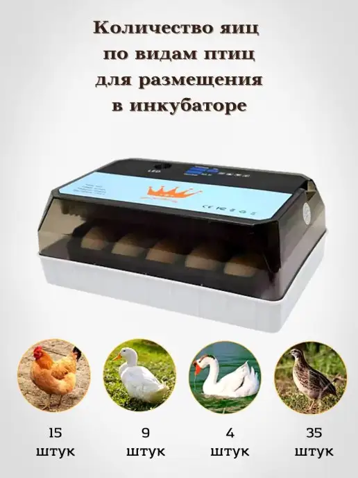 без бренда Инкубатор автоматический для яиц разных видов птиц, вариант, фото 2