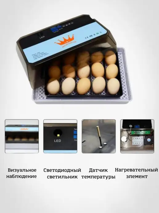 без бренда Инкубатор автоматический для яиц разных видов птиц, вариант, фото 3