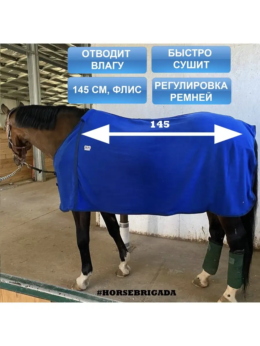 Попоны