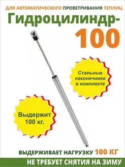 Гидроцилиндр 100 для автоматов проветривания Сибавтоматика 85136895 купить за 537 ₽ в интернет-магазине Wildberries