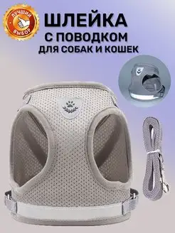 Анатомическая шлейка для собак мелких пород и щенков KinMart-Z 85139007 купить за 360 ₽ в интернет-магазине Wildberries