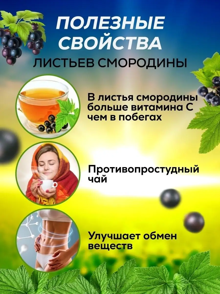 Листья смородины сушеные Ваше Здоровье+ 85314586 купить за 187 ₽ в  интернет-магазине Wildberries