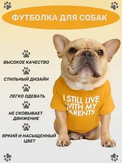 Одежда для собак и кошек: стильные футболки KinMart-Z 85323793 купить за 422 ₽ в интернет-магазине Wildberries