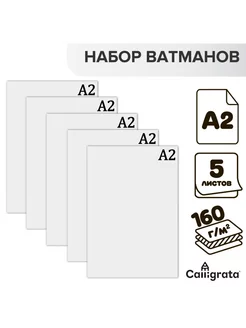 Набор 5 листов - ватман чертежный Calligrata 85439087 купить за 150 ₽ в интернет-магазине Wildberries