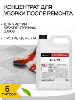 Альфа 19 (Alfa-19) 5л ср-во для очистки остатков цемента Pro-Brite 85457822 купить за 1 184 ₽ в интернет-магазине Wildberries