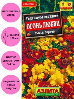 Интернет-магазин Wildberries: широкий ассортимент товаров - скидки каждый день!
