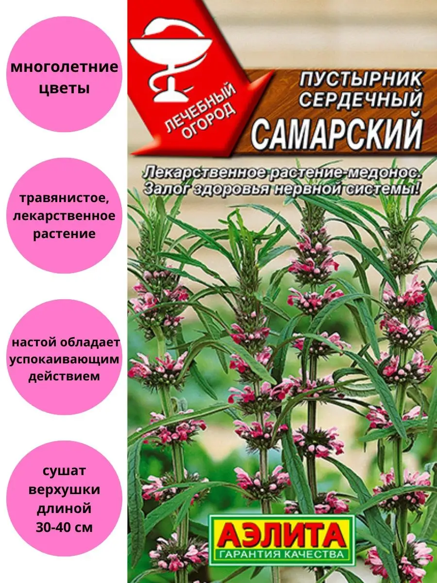 Пустырник Самарский сердечный