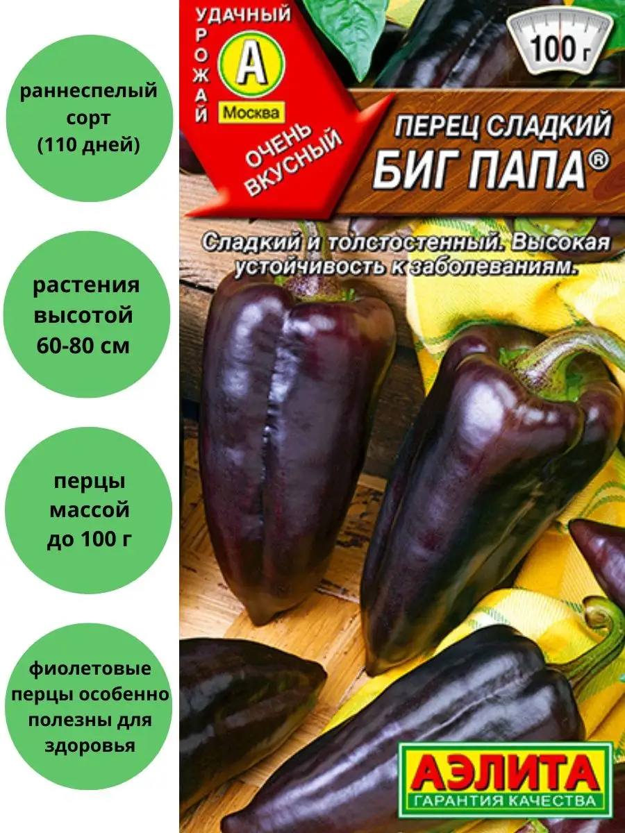 Биг папа студио кукутики. Big papa studio кукутики. Биг папам. Перец болгарский биг папа. Биг папам.