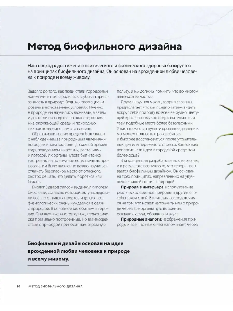 Дизайн интерьера с заботой о себе. 100 решений, Издательство Манн, Иванов и  Фербер 85593911 купить за 1 482 ₽ в интернет-магазине Wildberries