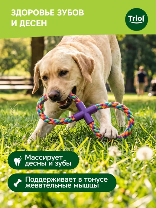 Triol Игрушка для собак "Веревка-восьмёрка", 27 см, голубой, фото 4