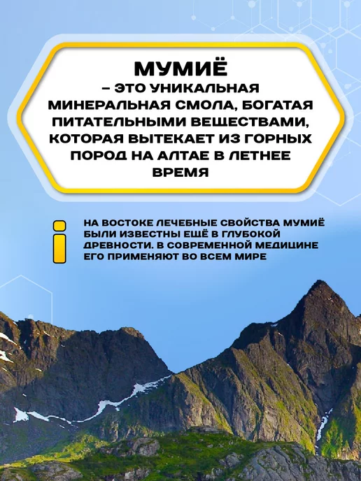 Мёд семьи Мамдеевых Мед с мумие алтайским натуральный Стронг, 950 г, 950 г, фото 4