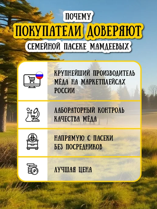 Мёд семьи Мамдеевых Мед с мумие алтайским натуральный Стронг, 950 г, 950 г, фото 6